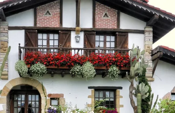 易克特克斯鄉村民宿