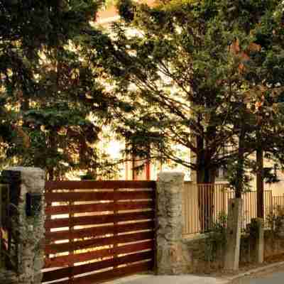 Villa Cecile Hotel Exterior