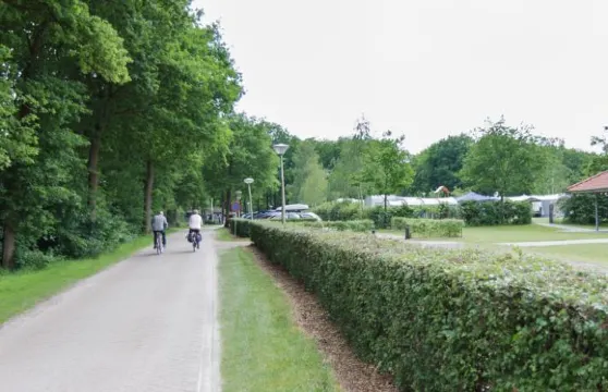 沃森博奇假日公園