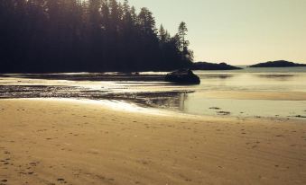 The Lighthouse Bed and Breakfast в г. Вклуэлет - 2026, цены ...