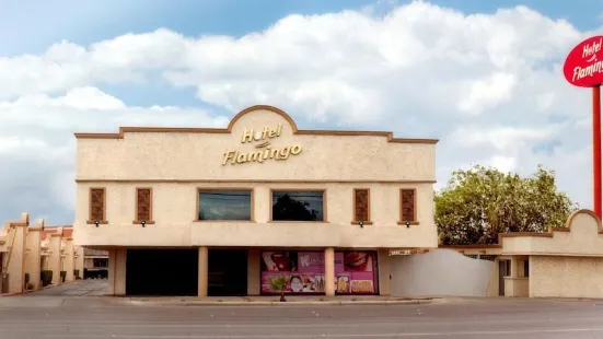 Hotel Flamingo