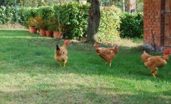 B&B Cascina Bricchetto