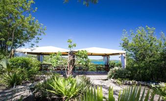 a garden with a stone patio and a canopy , surrounded by lush greenery and clear blue skies at Harmony Hall