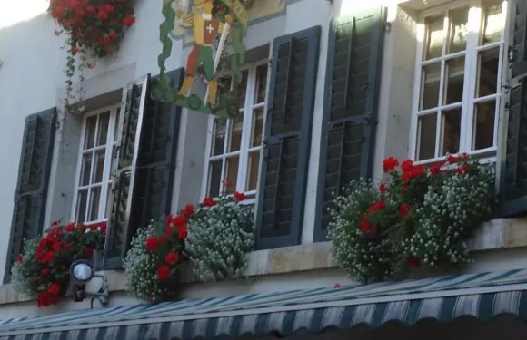 祖姆阿爾滕施魏策爾酒店