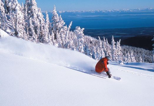 베스트 웨스턴 더 웨스털리 호텔