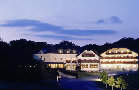 維尼爾瓦爾德霍夫麗格酒店