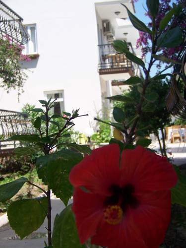 Dalyan Michelangelo Boutique Hotel