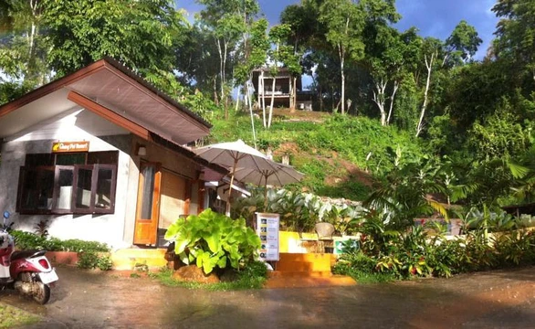 รูปภาพของช้างปาย