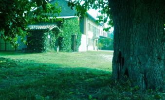 B&B Cascina Bricchetto