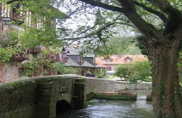 珀蒂阿佩維爾花紙廠酒店