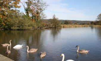 Newburgh House Bed & Breakfast