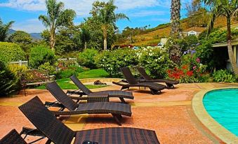 a patio area with several lounge chairs arranged around a dining table , surrounded by lush greenery at Malibu Country Inn