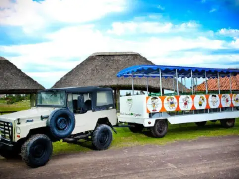 Hotel Fazenda Figueiras