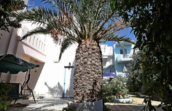 艾琳艾瑞尼公寓式酒店