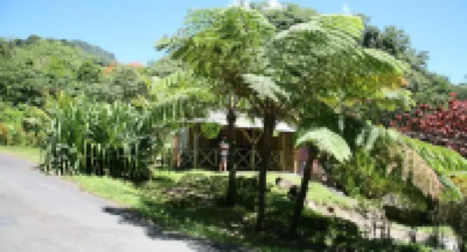 Natty Tropical Valley Hotels in 