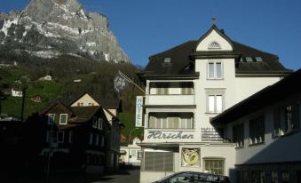 Hirschen Backpacker-Hotel & Pub