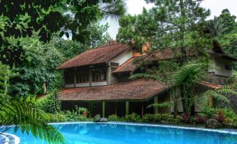 a large house surrounded by lush green trees and a swimming pool in the background at Imah Seniman