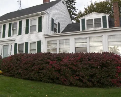 Cedar Crest Inn Hotels in Knox County
