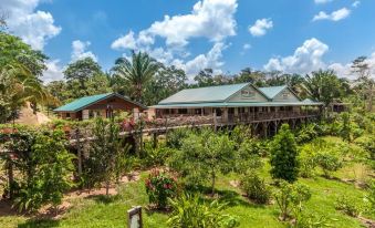 a large house with a balcony overlooks a garden filled with lush greenery and trees at Dream Valley Belize