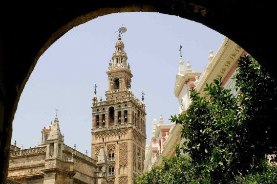 이비스 버짓 객실