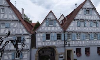 Historik Hotel Ochsen