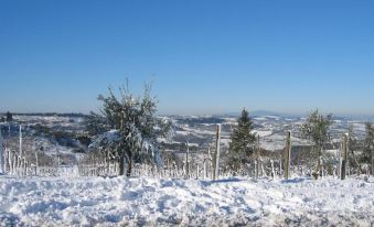 Relais Fattoria Valle