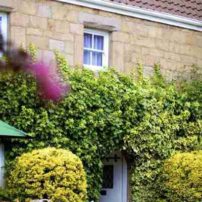 Greenhills Country Hotel Hotel Exterior