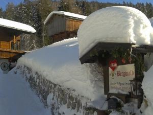 Alpbach Bergwald