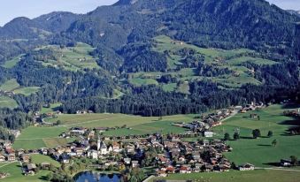 Angerer Alpine Suiten Und Familienappartements Tirol