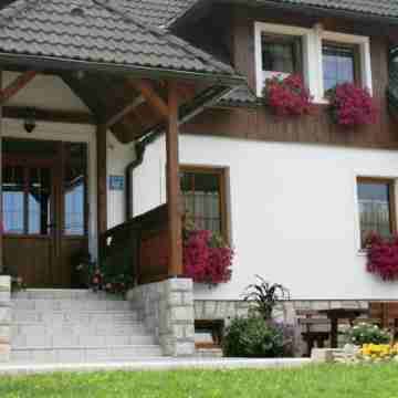 Villa Knezevic Hotel Exterior