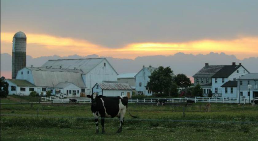 Harvest Drive Family Inn Intercourse - Amish Country