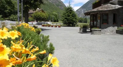 Hotel des Roses Hotels in 