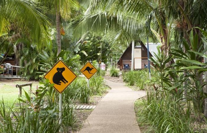 Bounce Magnetic Island and Koala Park - Formerly Roamer
