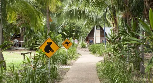 Bounce Magnetic Island and Koala Park - Formerly Roamer Hotels in Horseshoe Bay