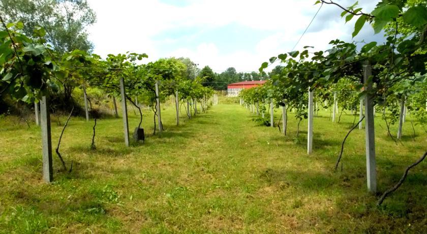 Filyos Ecopark