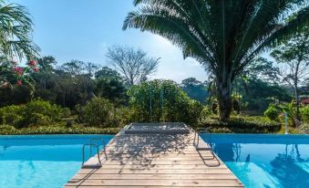 a wooden deck extending into a pool , surrounded by lush greenery and clear blue skies at Dream Valley Belize
