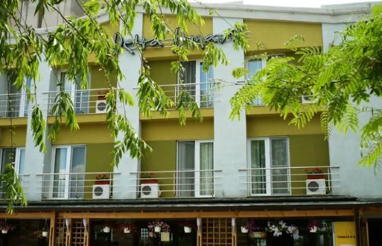 多瑙河三角洲旅館