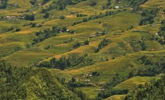 Sapa Lodge Hotel