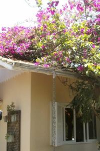 2021 Deals 30 Best Porto Belo Hotels With Free Cancellation Trip Com