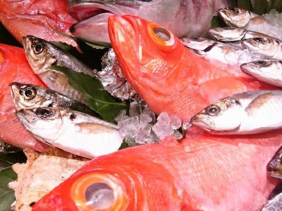 Wellness No Mori Ito Reviews For 3 Star Hotels In Ito Trip Com Hofu premium fish food 》optimum growth & enhancement 》high. wellness no mori ito reviews for 3