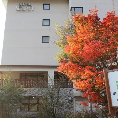 Hotel Selan Hotels near Ryuoo Ski Park
