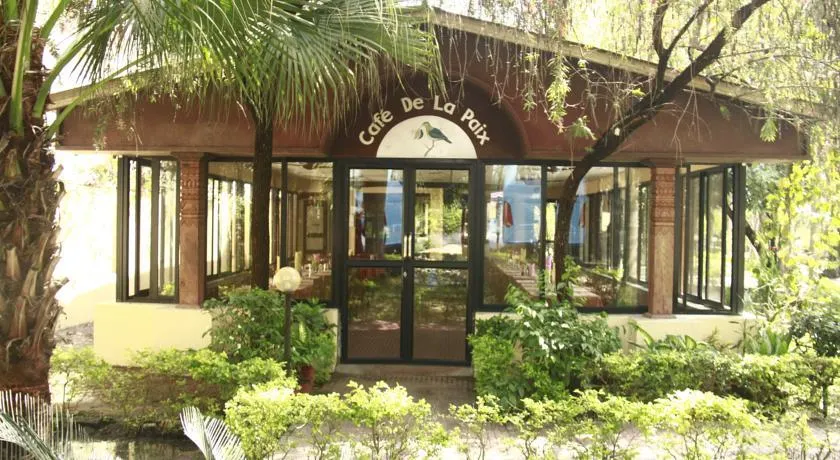 Hotel Rainforest
