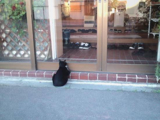 ペンション パピィーテール 函館 宿泊予約 安い料金プラン 口コミ 部屋写真 Trip Com ペンション パピィーテール 函館 宿泊予約 安い料金プラン 口コミ 部屋写真 Trip Com