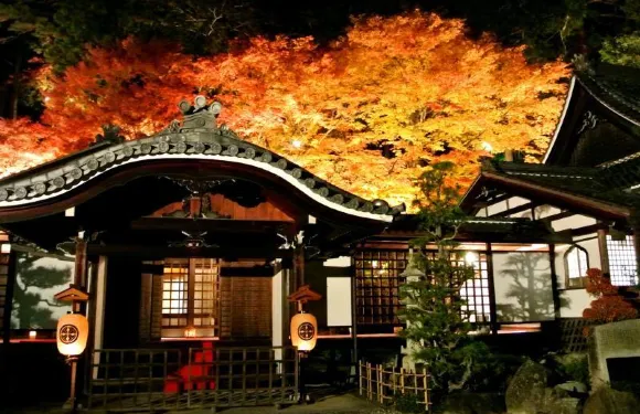 富岳下呂温泉酒店