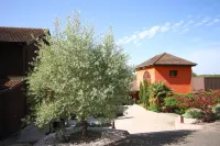 Best Western Bridge Hotel Lyon East Hotels in La Boisse