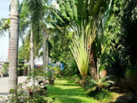 Hotel Kings Kudus Hotels in Kudus Regency