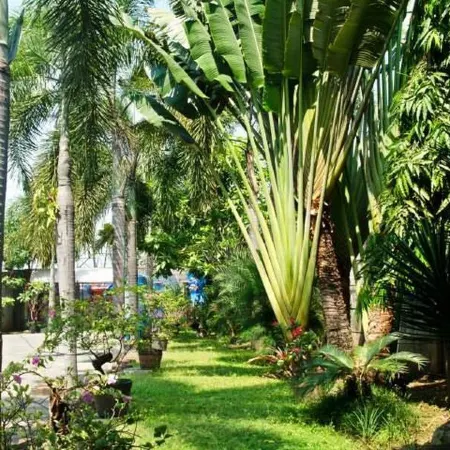 Hotel Kings Kudus