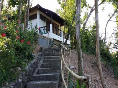 Discovery Island Resort Hotels near Banana Island