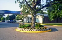 Econo Lodge Hotels in Stearns County