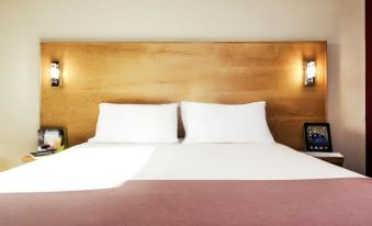 Ibis Muscat